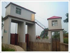 88.jpg